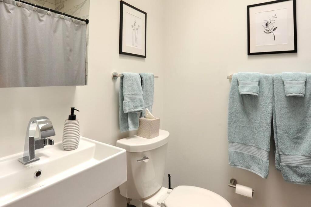 Cherry Blossom Townhouse, Easy Dc Access Washington Extérieur photo