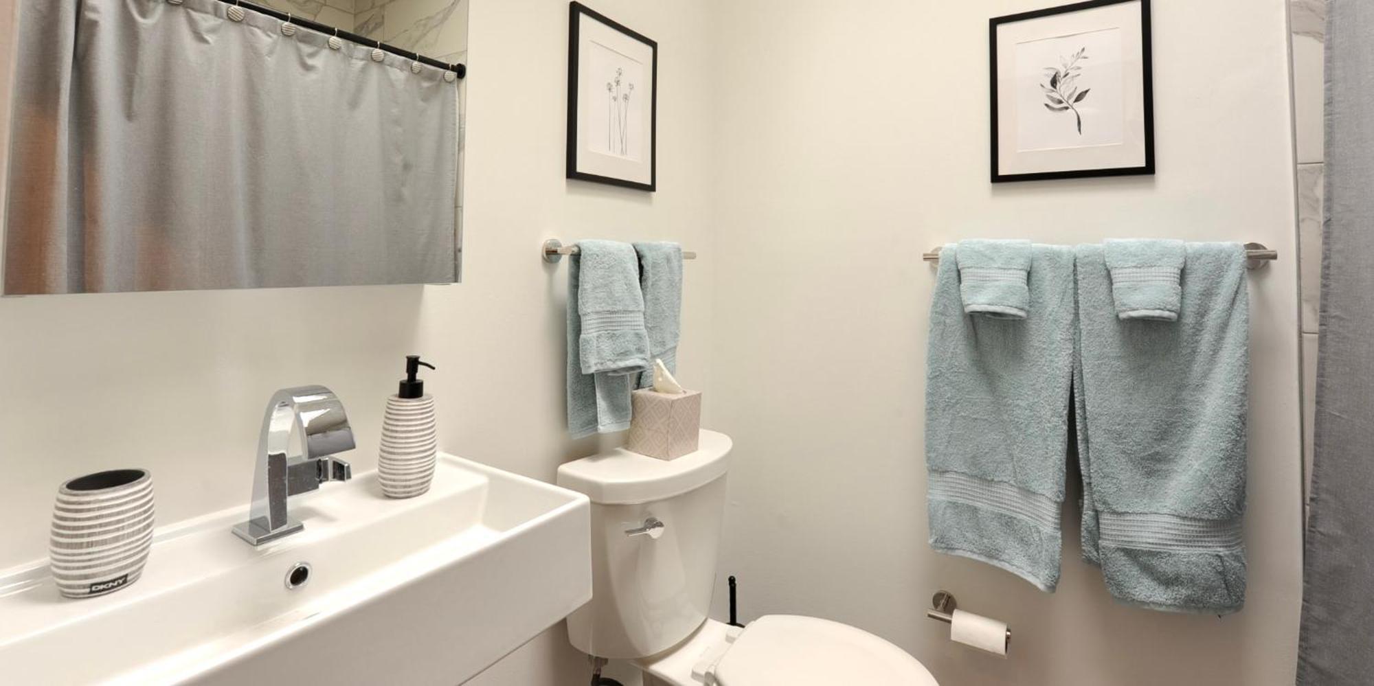 Cherry Blossom Townhouse, Easy Dc Access Washington Extérieur photo